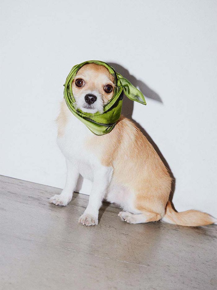 AMANDA ChouChou et Losange in Green